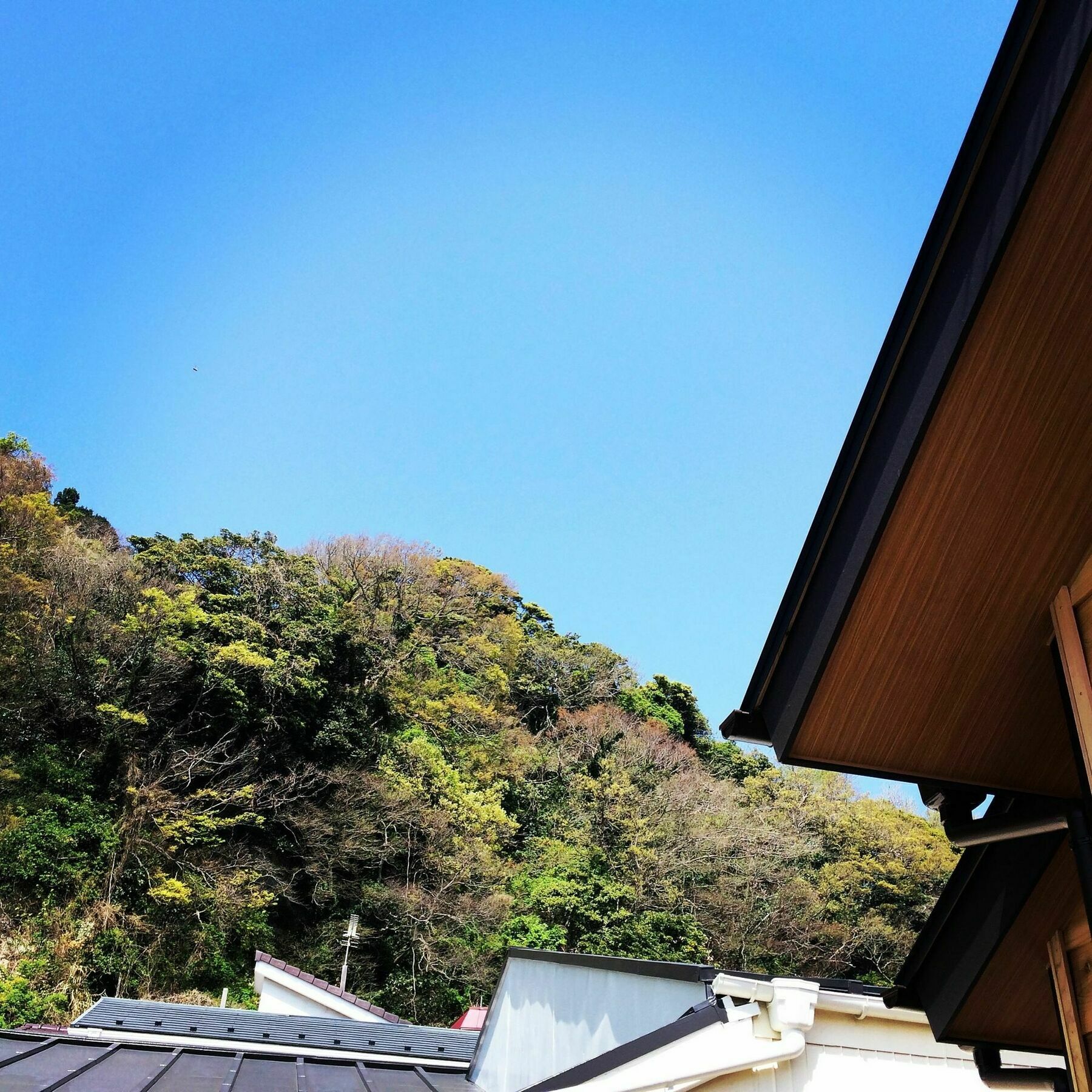 Guest House Kamakura Zen-Ji Екстериор снимка