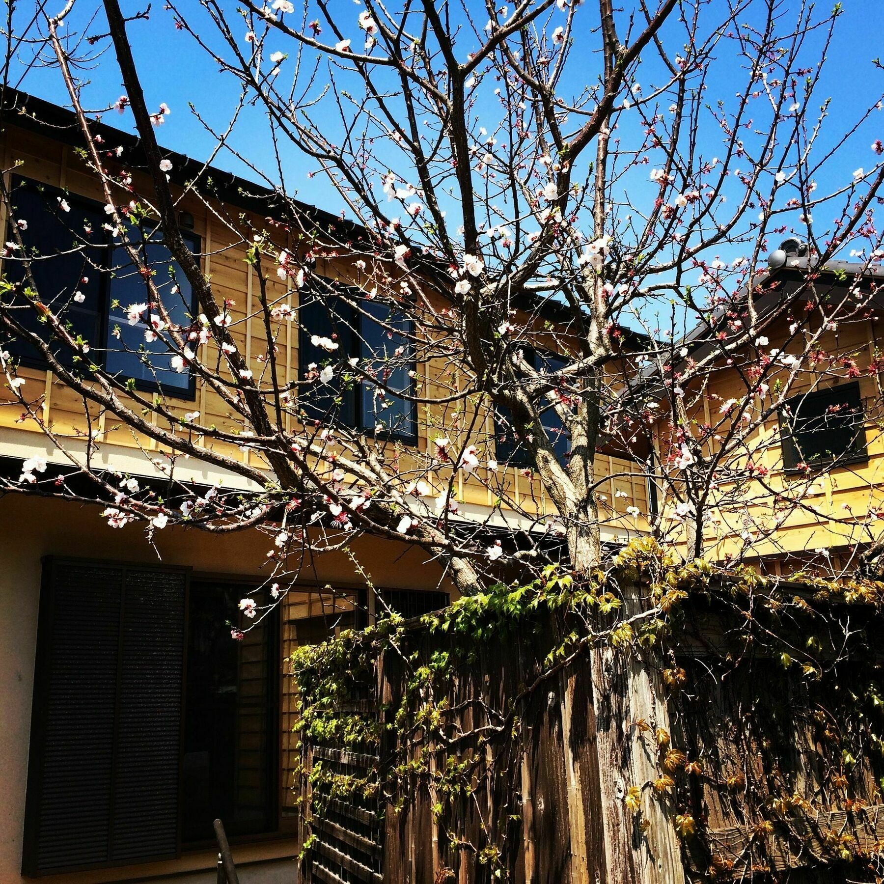 Guest House Kamakura Zen-Ji Екстериор снимка